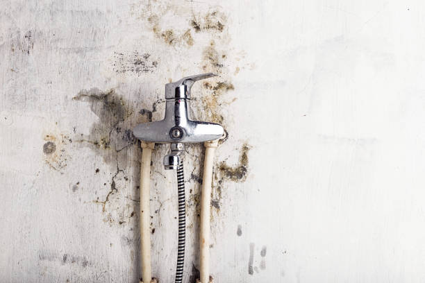 Best Post-Remediation Services in Hemphill, TX