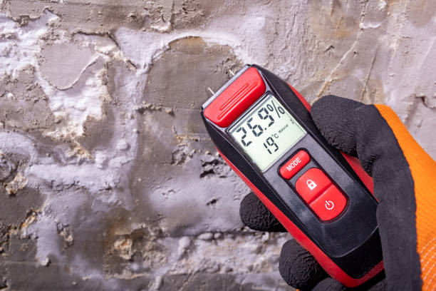 Best Mold Remediation for Specific Building Types in Hemphill, TX