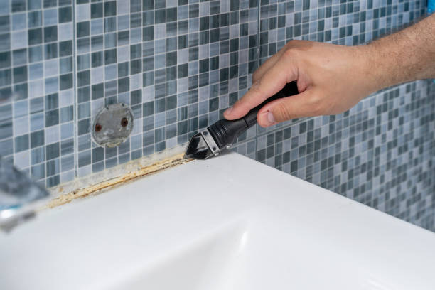 Best Health and Safety Mold Remediation in Hemphill, TX