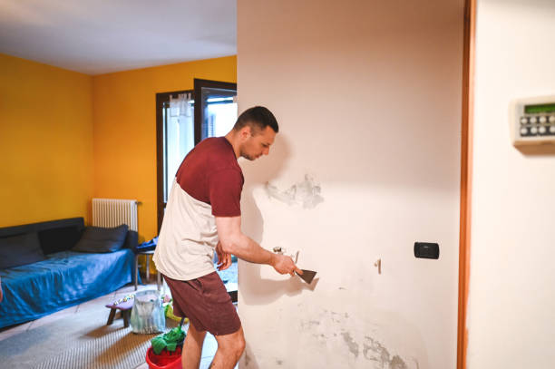 Hemphill, TX Mold Remediation Company